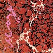 El texto musical CATCH IT de ICEAGE también está presente en el álbum Beyondless (2018)