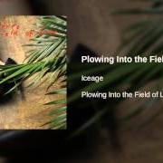 El texto musical FOREVER de ICEAGE también está presente en el álbum Plowing into the field of love (2014)