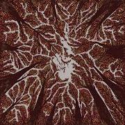 El texto musical CROWN SHYNESS de TRASH BOAT también está presente en el álbum Crown shyness (2018)