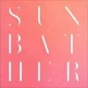 El texto musical THE PECAN TREE de DEAFHEAVEN también está presente en el álbum Sunbather (2013)