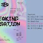 El texto musical ?? EASY LOVE de SF9 también está presente en el álbum Breaking sensation (2017)