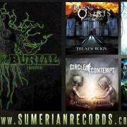 El texto musical CURSING AKHENATEN de AFTER THE BURIAL también está presente en el álbum Rareform (2008)