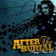 El texto musical PI (THE MERCURY GOD OF INFINITY) de AFTER THE BURIAL también está presente en el álbum Forging a future self (2006)