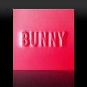 El texto musical BUNNY'S INTERLUDE de MATTHEW DEAR también está presente en el álbum Bunny (2018)