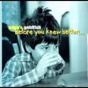 El texto musical JUST LESS de EDNA'S GOLDFISH también está presente en el álbum Before you knew better (1998)