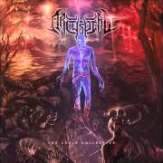 El texto musical SCREAM FEEDING de ARCHSPIRE también está presente en el álbum The lucid collective (2014)