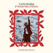 El texto musical I WON'T LET YOU DOWN de CURTIS HARDING también está presente en el álbum If words were flowers (2021)