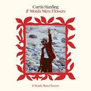 El texto musical FOREVER MORE de CURTIS HARDING también está presente en el álbum If words were flowers (2021)