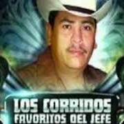 El texto musical EL CORRIDO DE COMPA JR. de EL TIGRILLO PALMA también está presente en el álbum Los corridos favoritos del jefe (2008)