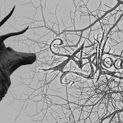 El texto musical IN THE SHADOW OF OUR PALE COMPANION de AGALLOCH también está presente en el álbum The mantle (2002)