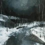 El texto musical INTO THE PAINTED GREY de AGALLOCH también está presente en el álbum Marrow of the spirit (2010)