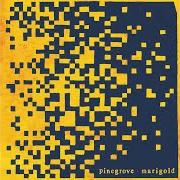 El texto musical HAIRPIN de PINEGROVE también está presente en el álbum Marigold (2020)