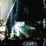 El texto musical EVERYTHING I DESPISE de ADORA también está presente en el álbum Safeguard the helpless (2005)