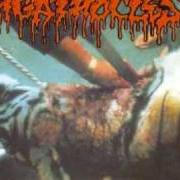 El texto musical LIBIDINOUS URGES de AGATHOCLES también está presente en el álbum A for arrogance (1996)