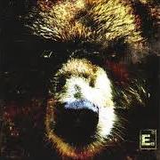 The bear The bear