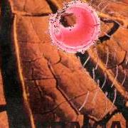 El texto musical A STRANGE BLINDNESS de ABAXIAL también está presente en el álbum Samsara (1994)