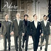 El texto musical BITTE HÖR NICHT AUF ZU TRÄUMEN de ADORO también está presente en el álbum Liebe meines lebens (2011)