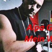 El texto musical MEIN WEG de ALPA GUN también está presente en el álbum Aufstand auf den billigen plätzen - (single) (2008)