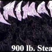 El texto musical NEVER de ANIMAL también está presente en el álbum 900 lb. steam (2002)