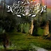 El texto musical THE BRINGER OF LIGHT de A SORROWFUL DREAM también está presente en el álbum A garden of stones - demo (2003)