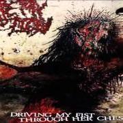 El texto musical I SHIT PREEMIES de ARTERY ERUPTION también está presente en el álbum Driving my fist through her chest (2009)