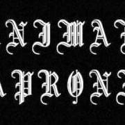 El texto musical IN MY DARK MAGIC KINGDOM de ANIMAE CAPRONII también está presente en el álbum And hourglass of lifetime (2008)