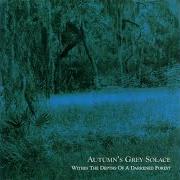 El texto musical WITHIN THE DEPTHS OF A DARKENED FOREST de AUTUMN'S GREY SOLACE también está presente en el álbum Within the depths of a darkened forest (2002)