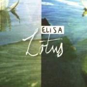 El texto musical LUCE (TRAMONTI A NORD EST) de ELISA también está presente en el álbum Lotus (2003)