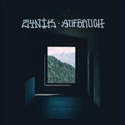 El texto musical STEH DAFÜR de ZYNIK también está presente en el álbum Aufbruch (2020)