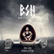 El texto musical ANBEGINN DER ZEIT de BASS SULTAN HENGZT también está presente en el álbum Endlich erwachsen (2014)