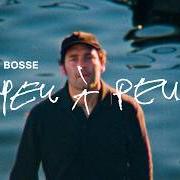 El texto musical LASS DICH NICHT FICKEN de BOSSE también está presente en el álbum Stabile poesie (2026)