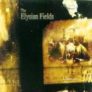 El texto musical ENSHIELD MY HATE ETERNAL de ELYSIAN FIELDS también está presente en el álbum 12 ablaze (2001)