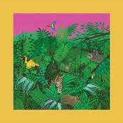El texto musical BUTTERFLY DREAM de TURNOVER también está presente en el álbum Good nature (2017)