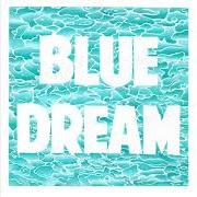 El texto musical BELLA DONNA de TURNOVER también está presente en el álbum Blue dream (2014)