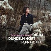 El texto musical NICHTS IST EGAL de FELIX MEYER también está presente en el álbum Die im dunkeln hoert man doch (2019)
