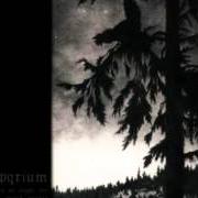 El texto musical WEHMUT de EMPYRIUM también está presente en el álbum Where at night the wood grouse plays (1999)