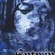 El texto musical VEILED WOMAN de ENTWINE también está presente en el álbum The treasures within hearts (1999)