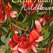 El texto musical WHEN YOU FALL IN LOVE (EVERYTHINGS A WALTZ) de CLELIA ADAMS también está presente en el álbum Wildflowers (2008)