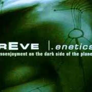 El texto musical HER LAST SUMMER de EVEREVE también está presente en el álbum Enetics - 11 orgies of massenjoyment on the dark side of the planet (2003)