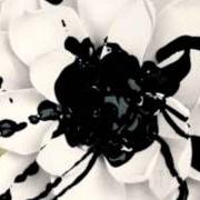 El texto musical POLLY de EYES SET TO KILL también está presente en el álbum White lotus (2011)
