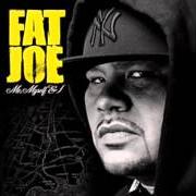 El texto musical PENDEMIC de FAT JOE también está presente en el álbum Me myself & i (2006)