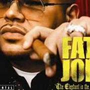 El texto musical MY CONSCIENCE de FAT JOE también está presente en el álbum The elephant in the room (2008)