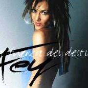 El texto musical MUJER CONTRA MUJER de FEY también está presente en el álbum La fuerza del destino (2004)
