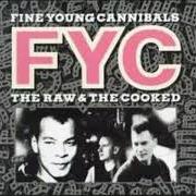 El texto musical COULDN'T CARE MORE de FINE YOUNG CANNIBALS también está presente en el álbum The finest