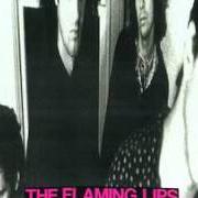 El texto musical SHAVED GORILLA de THE FLAMING LIPS también está presente en el álbum Telepathic surgery (1989)