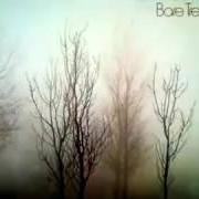 El texto musical BARE TREES de FLEETWOOD MAC también está presente en el álbum Bare trees (1972)