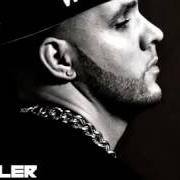 El texto musical NEUREICHER WICHSER de FLER también está presente en el álbum Blaues blut (2013)