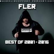 El texto musical ICH WERDE NIE VERGESSEN de FLER también está presente en el álbum Fler (2009)