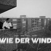 El texto musical RHYTHM OF THE NIGHT de FLER también está presente en el álbum Wie der wind (2023)