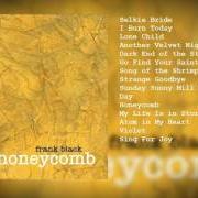 El texto musical ANOTHER VELVET NIGHTMARE de FRANK BLACK también está presente en el álbum Honeycomb (2005)